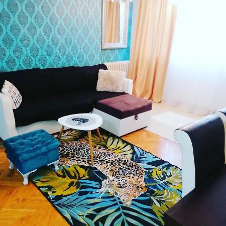 Marina Jacuzzi Apartment Free Parking Νόβι Σαντ Εξωτερικό φωτογραφία