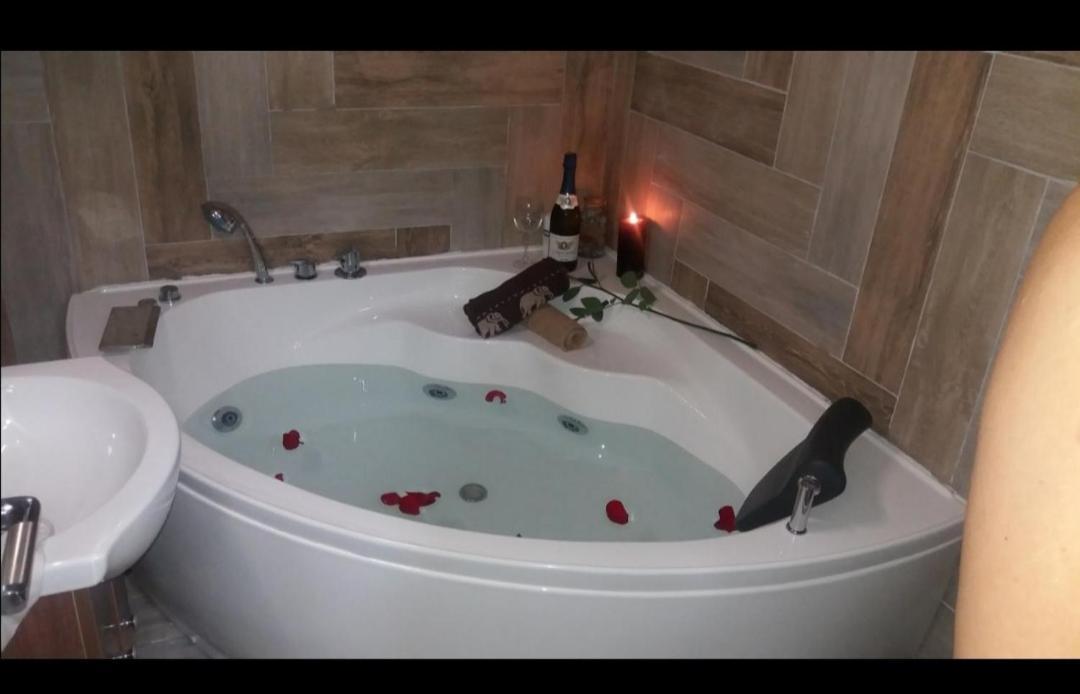 Marina Jacuzzi Apartment Free Parking Νόβι Σαντ Εξωτερικό φωτογραφία