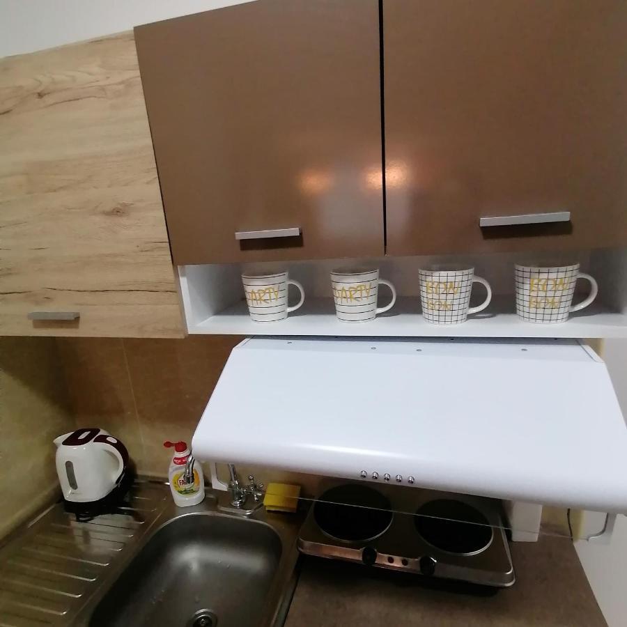 Marina Jacuzzi Apartment Free Parking Νόβι Σαντ Εξωτερικό φωτογραφία