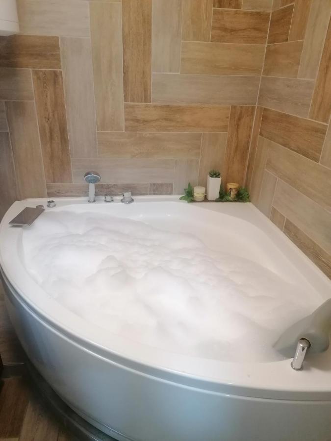 Marina Jacuzzi Apartment Free Parking Νόβι Σαντ Εξωτερικό φωτογραφία